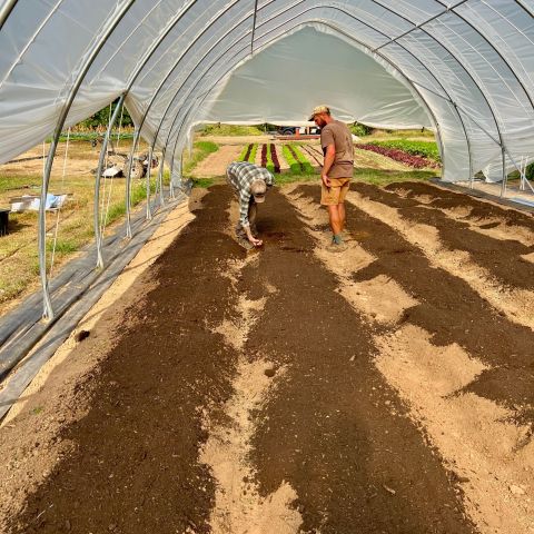 HealTerra Local Made Compost | HealTerra HealTerra Local Made Compost | HealTerra