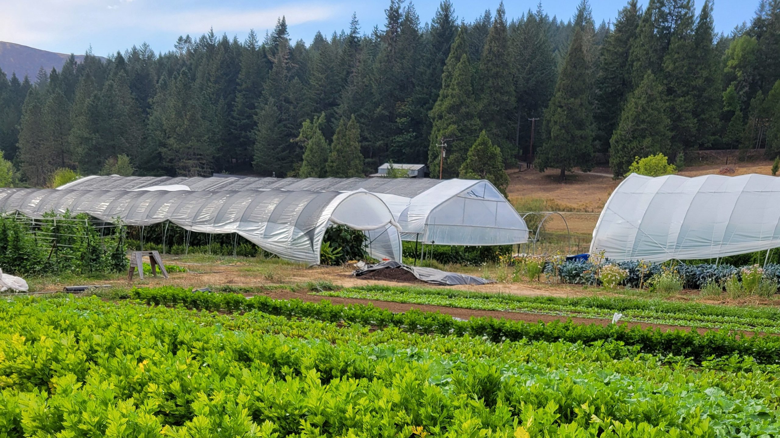 Healthy Crops | HealTerra Healthy Crops | HealTerra