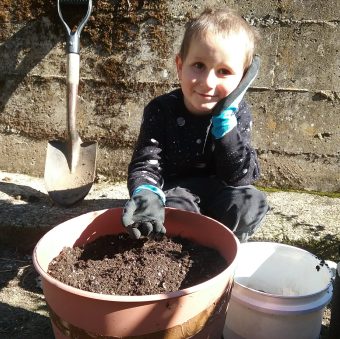 Worm Poop is Safe to use around Children | HealTerra Worm Poop is Safe to use around Children | HealTerra