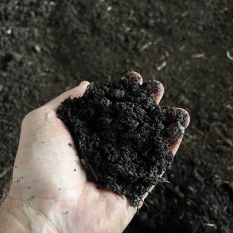 Worm Castings | HealTerra Worm Castings | HealTerra