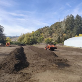 Compost Rows | HealTerra Compost Rows | HealTerra