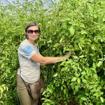 Healthy Plants grown with Worm Castings | HealTerra Healthy Plants grown with Worm Castings | HealTerra