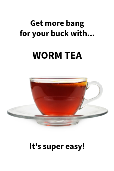 Make Worm Tea | HealTerra Make Worm Tea | HealTerra