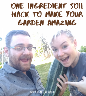 Soil Hack | HealTerra Soil Hack | HealTerra
