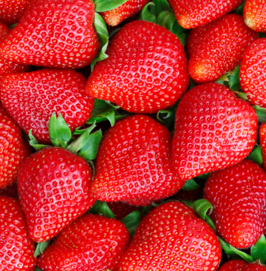 Healthy Strawberries | HealTerra Healthy Strawberries | HealTerra