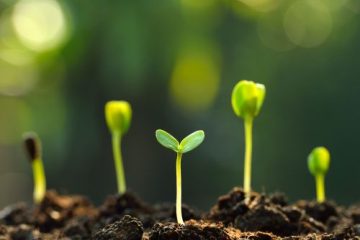 Enrich Soil with HealTerra Soil Enrich@ | HealTerra Enrich Soil with HealTerra Soil Enrich@ | HealTerra