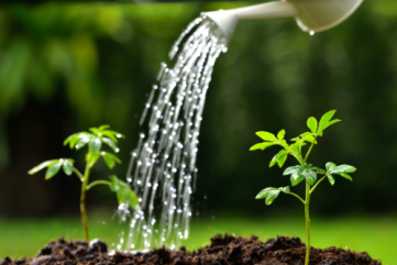 Save Money on Water with HealTerra Soil Enrich@ | HealTerra Save Money on Water with HealTerra Soil Enrich@ | HealTerra